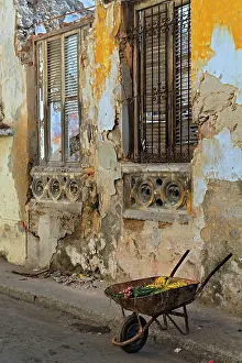 Bananas: Bananas in wheelbarrow, Havana, Cuba