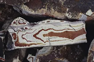 Rhyolite: Banded Rhyolite
