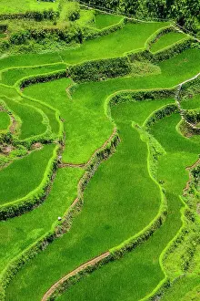 Terraces: Bangaan in the rice terraces of Banaue, Northern