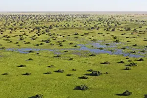 Bangweuleu: Bangweuleu marshes
