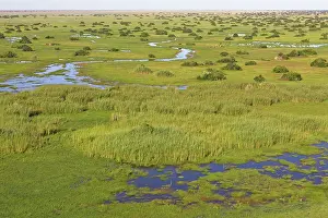 Bangweuleu: Bangweuleu marshes