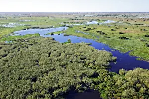 Bangweuleu: Bangweuleu marshes - aerial