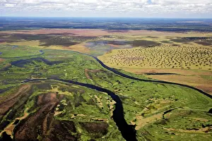 Bangweuleu: Bangweuleu marshes - aerial
