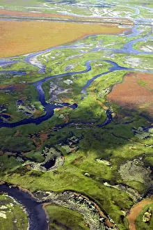 Bangweuleu: Bangweuleu marshes - aerial
