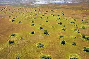 Bangweuleu: Bangweuleu marshes - aerial