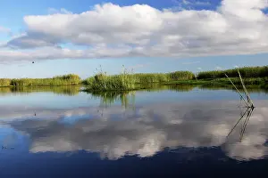Bangweuleu: Bangweuleu marshes - Zambia