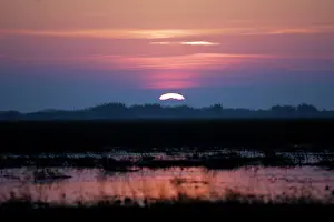 Bangweuleu: Bangweuleu marshes Zambia Africa