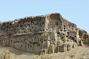Riparia: Bank Swallow / Sand Martin - nest holes at colony