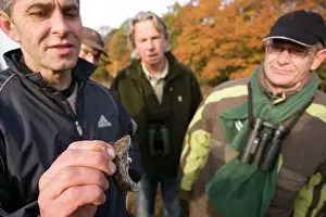 Clethrionomys: Bank Vole