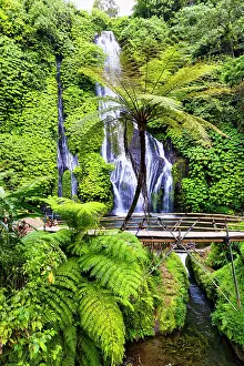 Lush: Banyumala Twin Waterfalls, located in the North Bali region