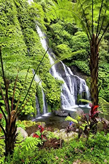 Lush: Banyumala Twin Waterfalls, located in the North Bali region