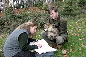 Vaccinations: Barbary Macaque / Barbary Ape / Rock Ape - vet