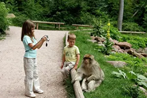 Watched: Barbary Macaque - in captivity being watched by two children