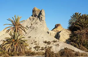 Ridges: Bare ridges of eroded sandstone and palm trees in the Ta