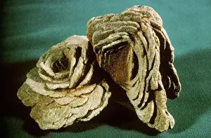 Tabular: Barite