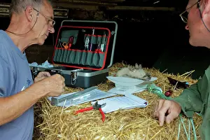 Nieuwe: Barn Owl