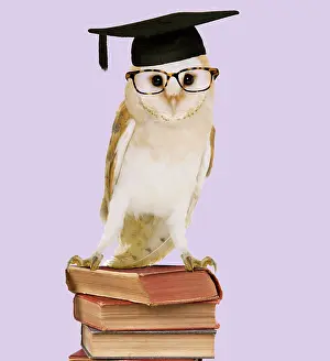 Boards: Barn Owl - with books - wearing glasses & mortar board