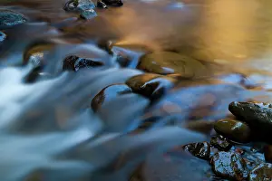 Olympic: Barnes Creek, Olympic National Park, Washington