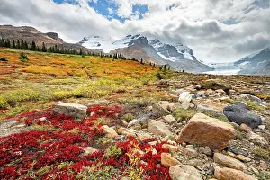 Icefields: Barren autumn landscape, mountain landscape, glacier