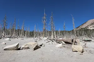 250119: Barren Landscape near Horseshoe Lake, Mammoth