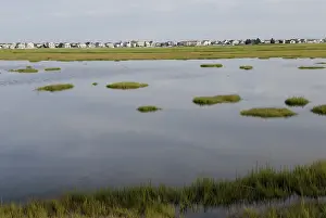 Communities: Barrier Island