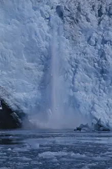 Calving: Barry Glacier, Calving