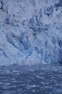 Calving: Barry Glacier, Calving
