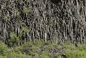 Basaltic: Basalt Columns in the Grand Canyon