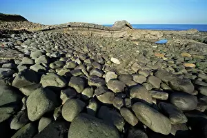 Dunstanburgh: Basalt Lava Flow - Greymare Rock and basalt boulders