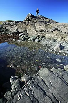 Geologist: Basalt Lava Flow - Greymare Rock on the coast beside