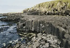 Basaltic: Basalt in New Zealand