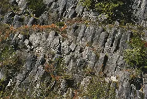 Basaltic: Basalt in Washington