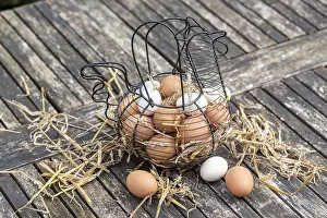 Filled: Basket filled with eggs on a garden table, spring