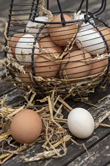 Filled: Basket filled with eggs on a garden table, spring