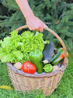 Pepper: Basket of mixed vegetables held by a woman: tomatoes