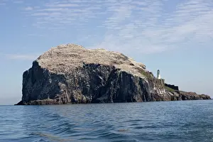 Named: Bass Rock - home over 70, 000 Northern Gannets as
