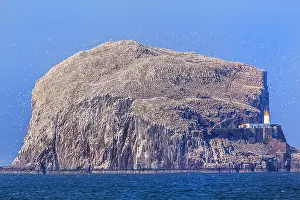 130319: Bass Rock - off shore rock island populated by many