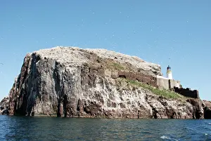 Plug: Bass Rock - a volcanic plug, a major historic seabird