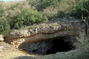 Chiroptera: Bat Cave in Texas