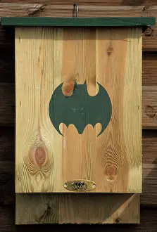 Nestbox: Bat - nestbox