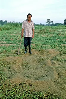 Sandbar: Batagur Nest