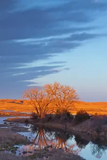 Loup: Bathed in sunset light the Calamus River