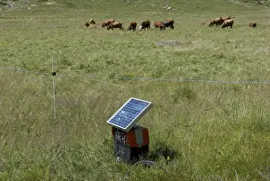 Powered: Battery for an electric fence powered by solar panel France