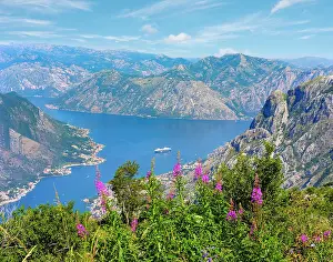 Cruise: Bay of Kotor with the villages Muo and Prcanj near