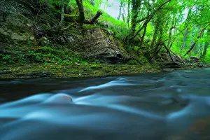 Alava: Bayas river, Gorbeia Natural Park, Alava, Basque