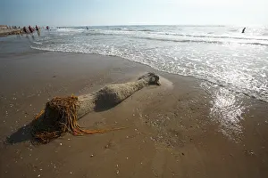 Mermaid: Beach Art - Mermaid figure on Beach