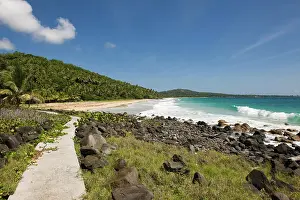 Palms: Beach, coconut palms, Big Corn Island, Caribbean