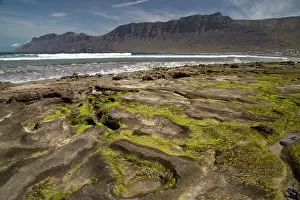 Algae: Beach at Famara - Playa de Famara - west coast of
