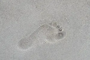 Track: Beach footprint 01