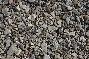 Coarse: Beach Gravel